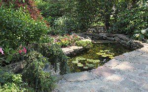 Montclair Gardens #008 by Landscape Techniques Inc